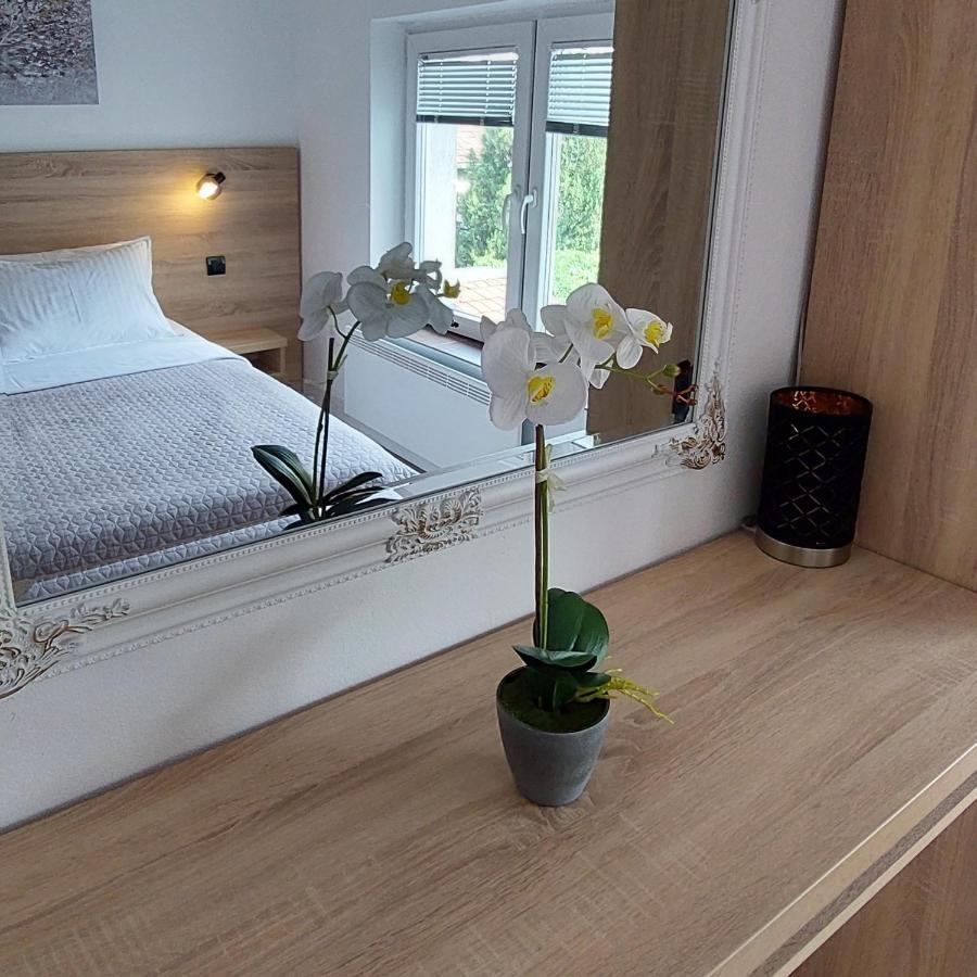 Apartment Roosevelt Belgrad Dış mekan fotoğraf